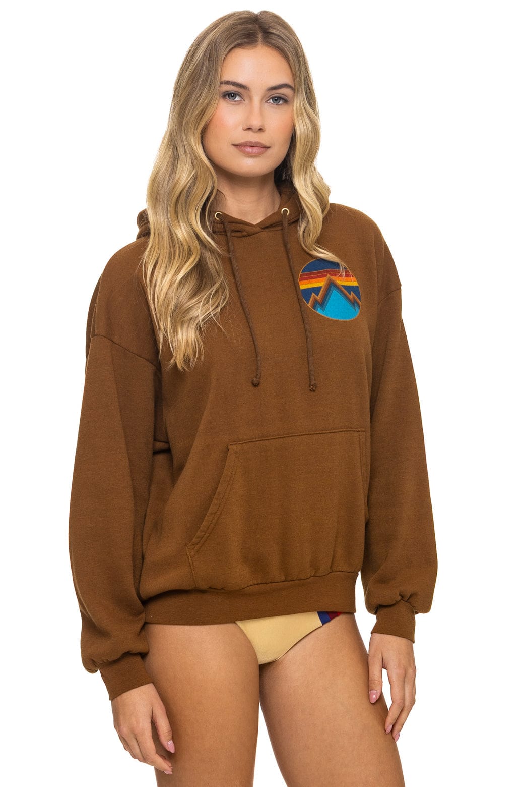 Retro ALL SEASONS RELAXED PULLOVER HOODIE - CINNAMON