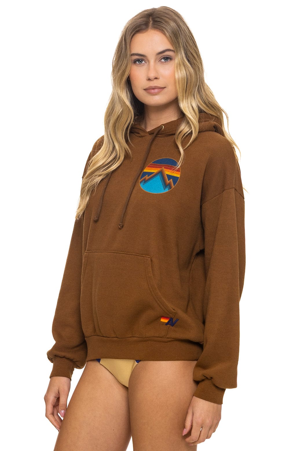 Retro ALL SEASONS RELAXED PULLOVER HOODIE - CINNAMON