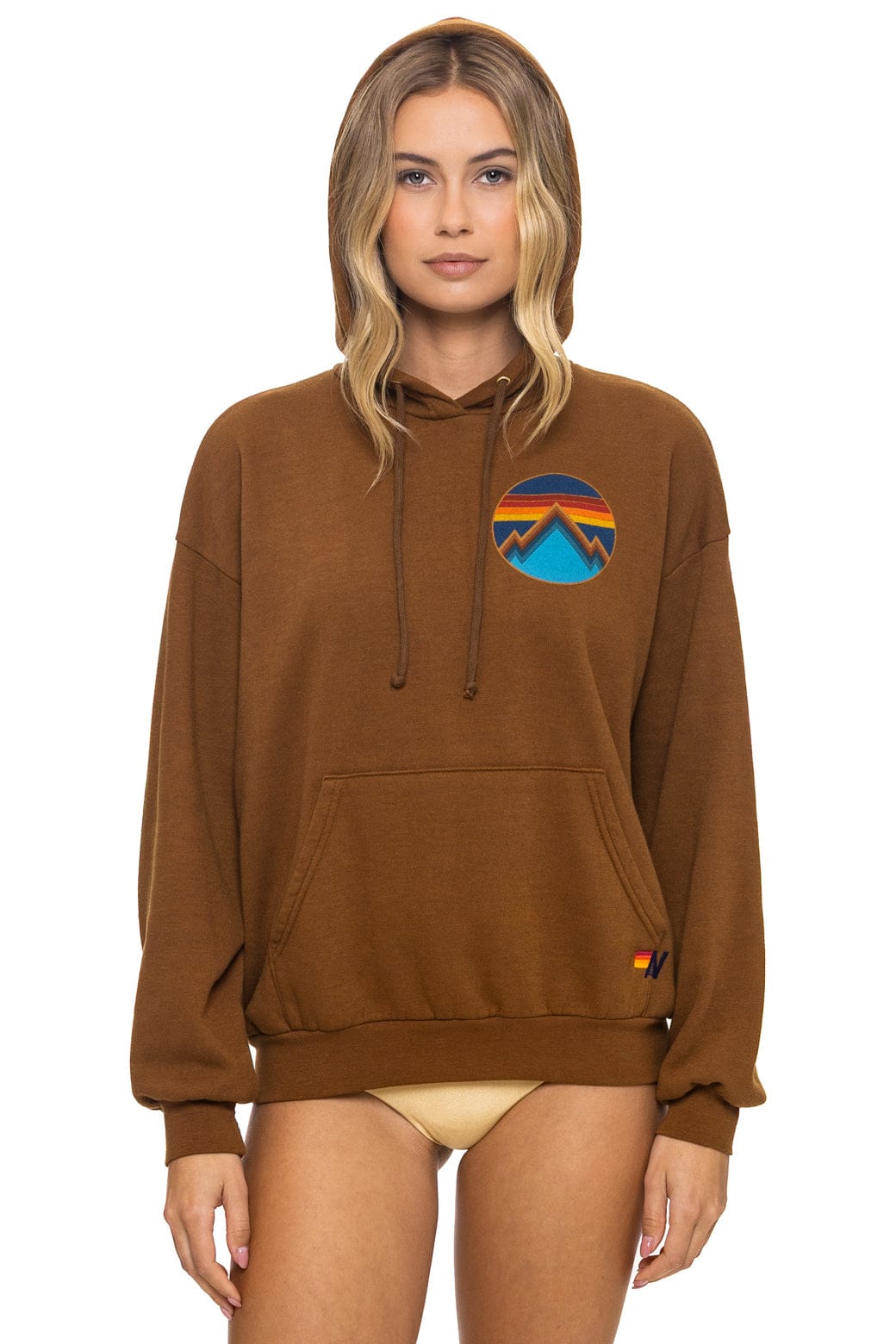 Retro ALL SEASONS RELAXED PULLOVER HOODIE - CINNAMON