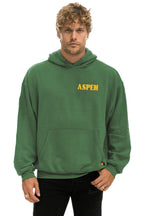 Retro UP IN THE SKY 2026 RELAXED PULLOVER HOODIE - PALM