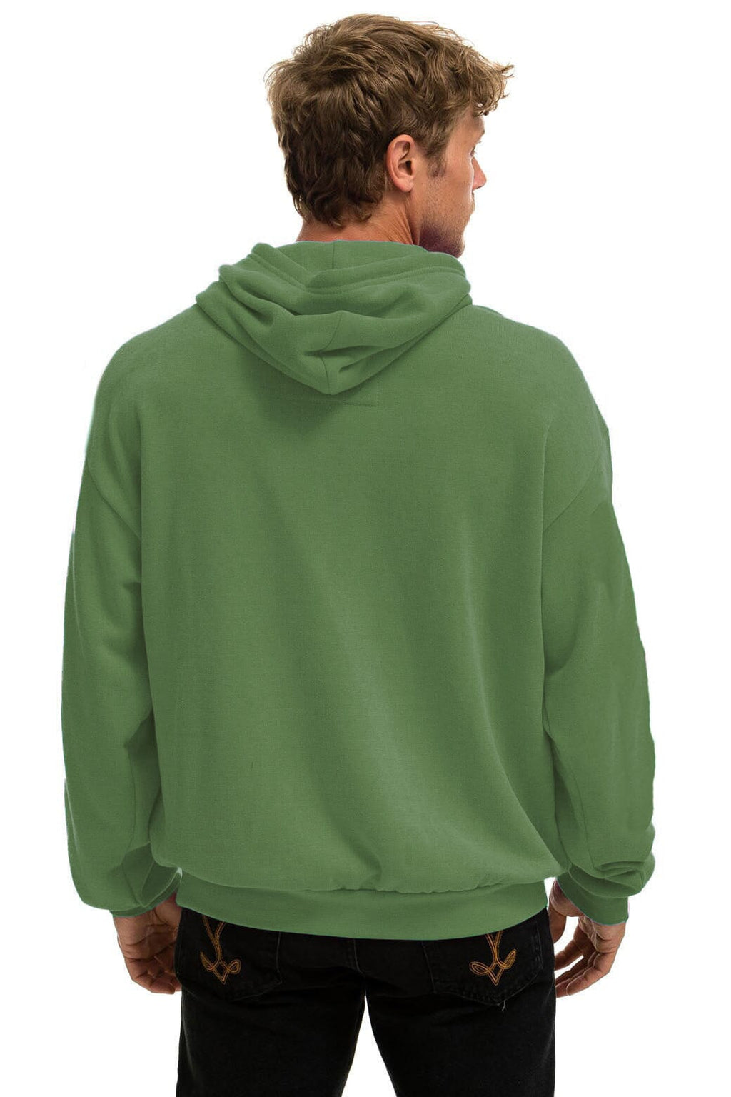Retro WAVE STRIPE 4 PULLOVER HOODIE RELAXED - PALM GREEN