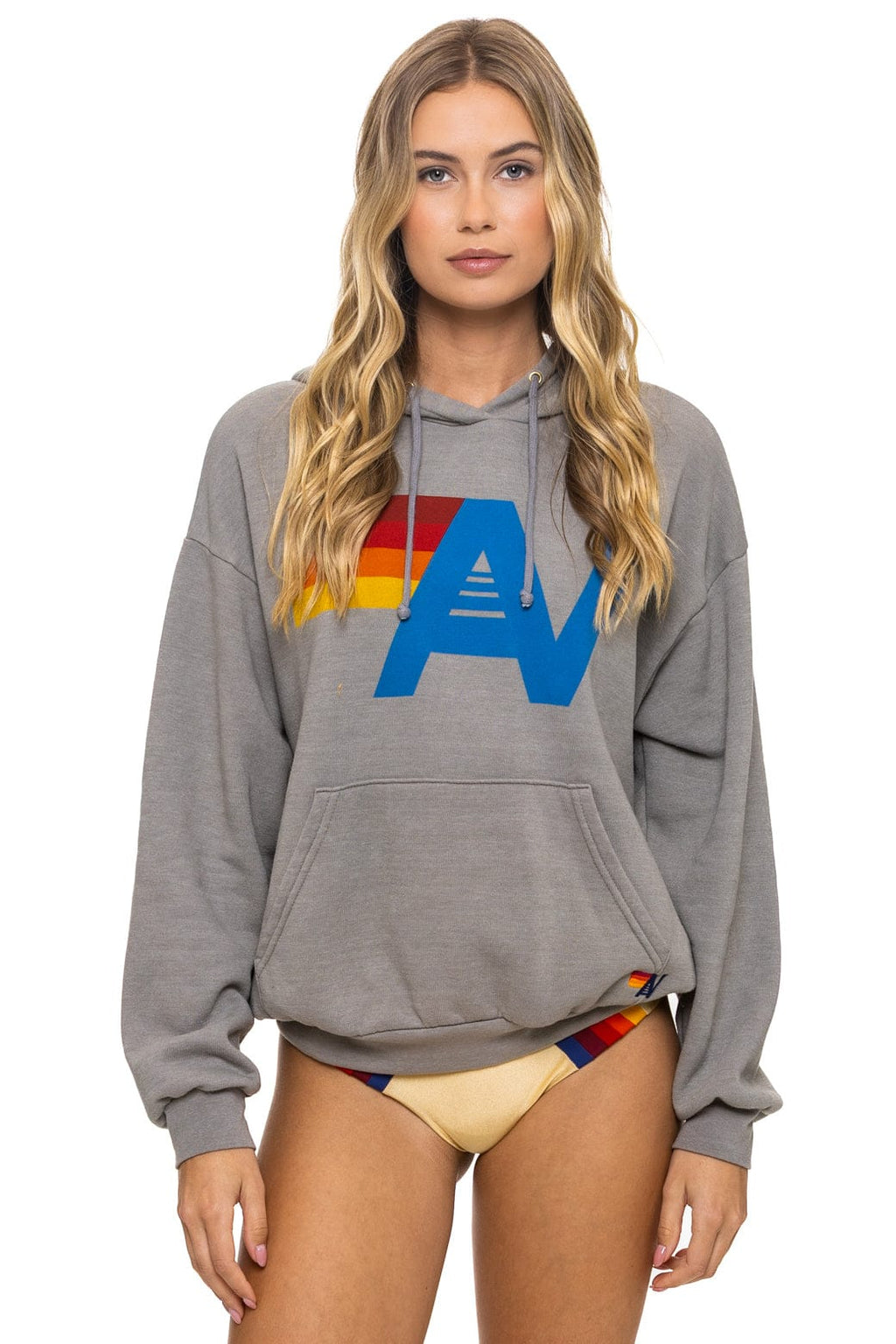 Retro LOGO PULLOVER RELAXED HOODIE - SLATE