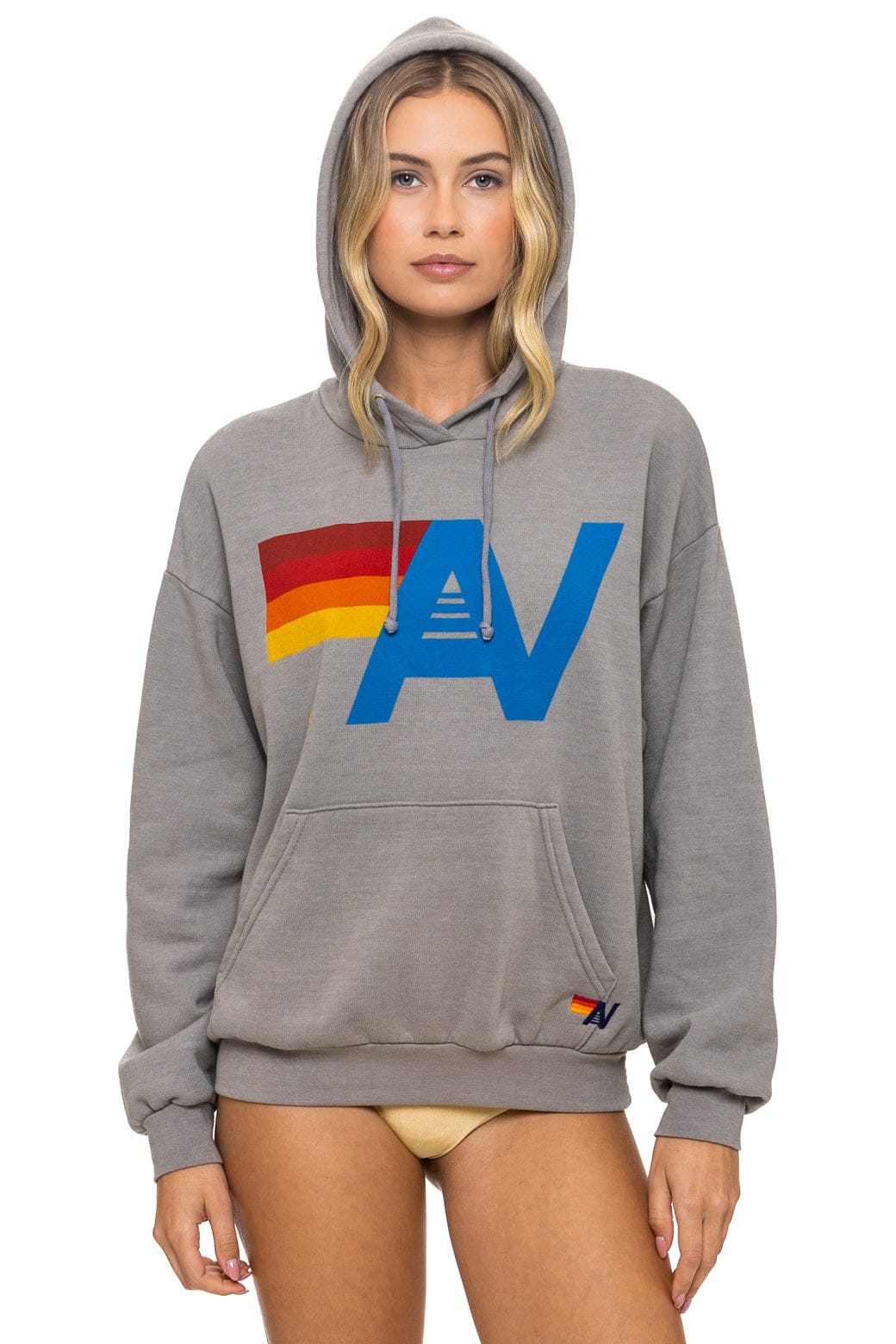 Retro LOGO PULLOVER RELAXED HOODIE - SLATE
