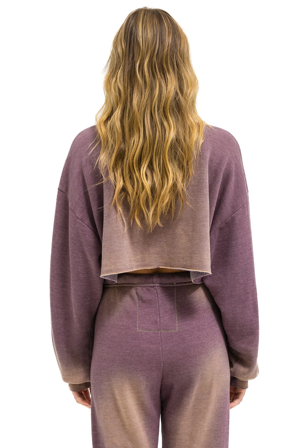 Retro VENICE SURFER CROPPED CREW SWEATSHIRT RELAXED - FADED MOCHA