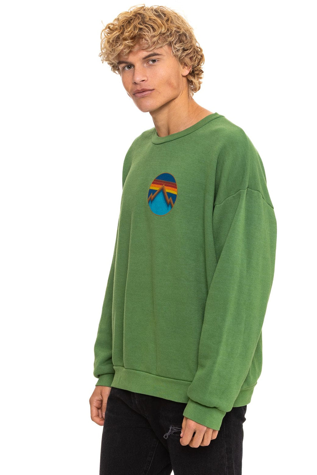 Retro ALL SEASONS CIRCLE RELAXED CREW SWEATSHIRT - PALM