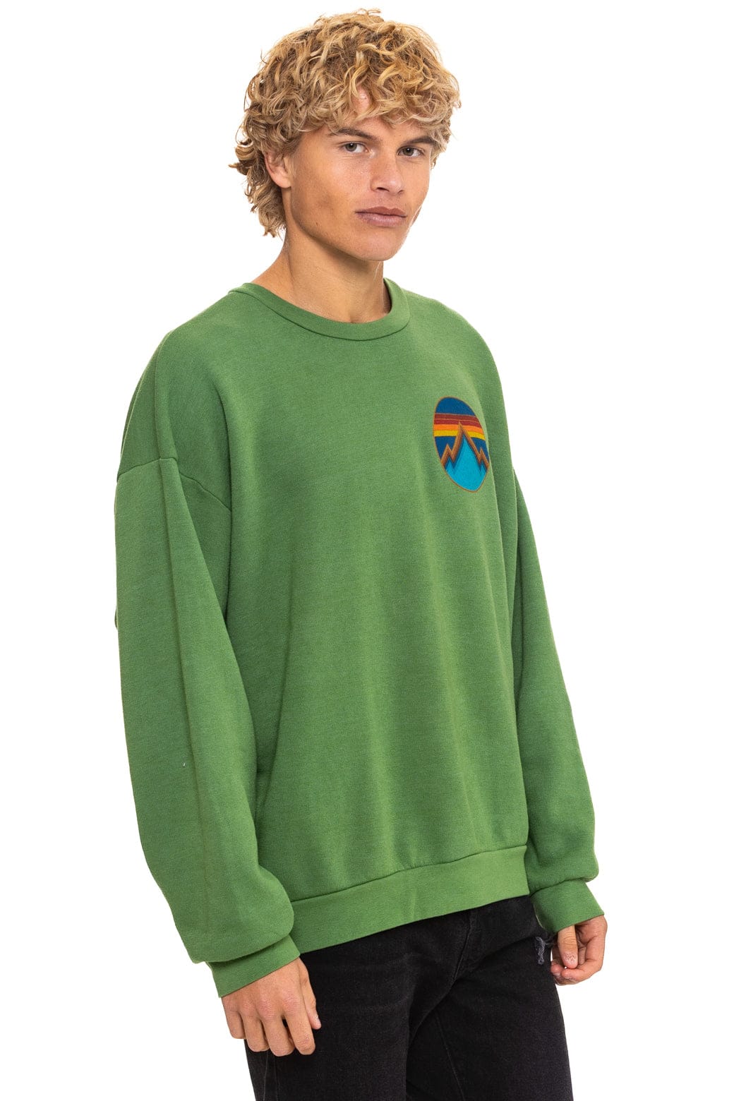 Retro ALL SEASONS CIRCLE RELAXED CREW SWEATSHIRT - PALM