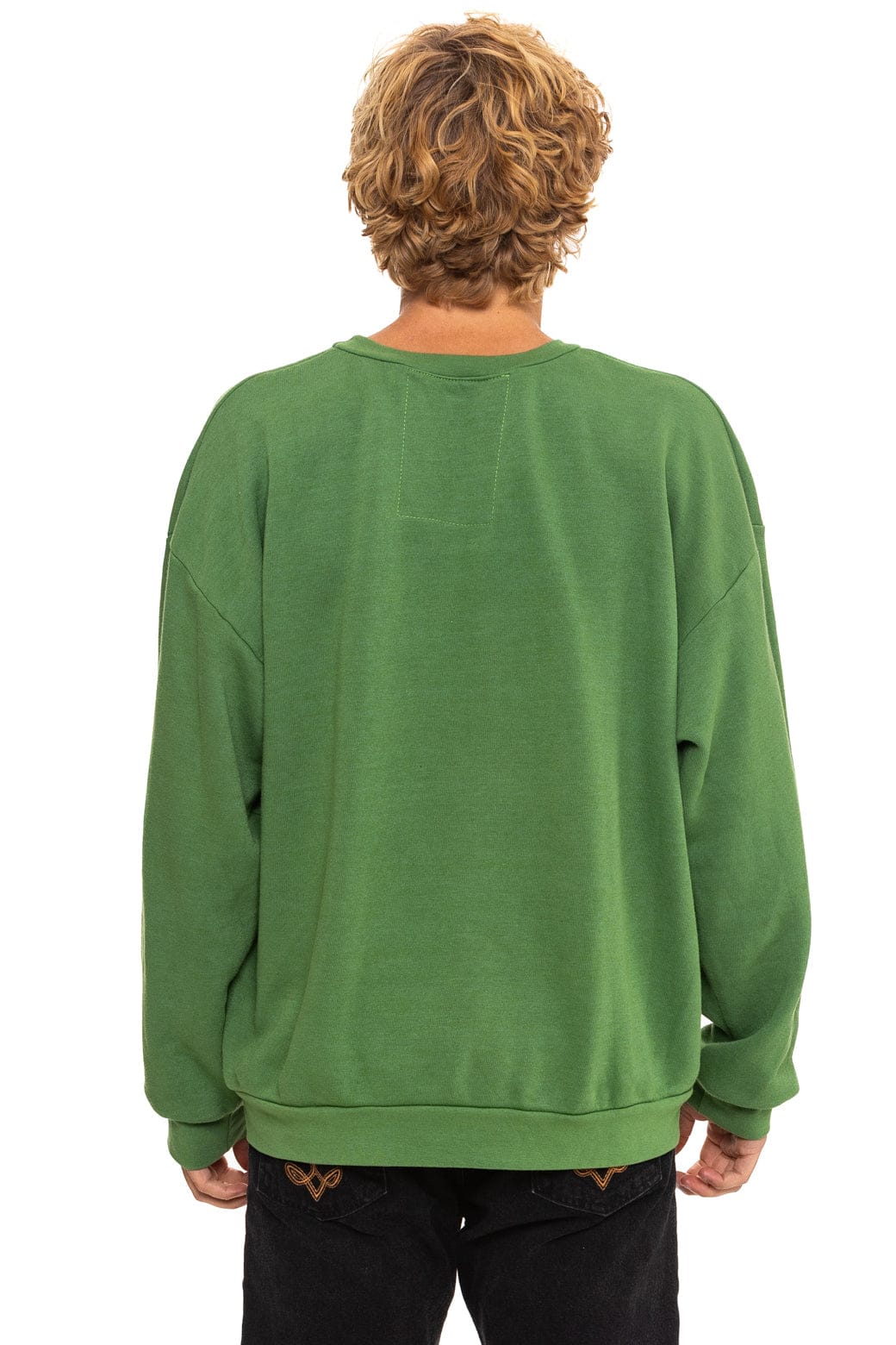 Retro ALL SEASONS CIRCLE RELAXED CREW SWEATSHIRT - PALM