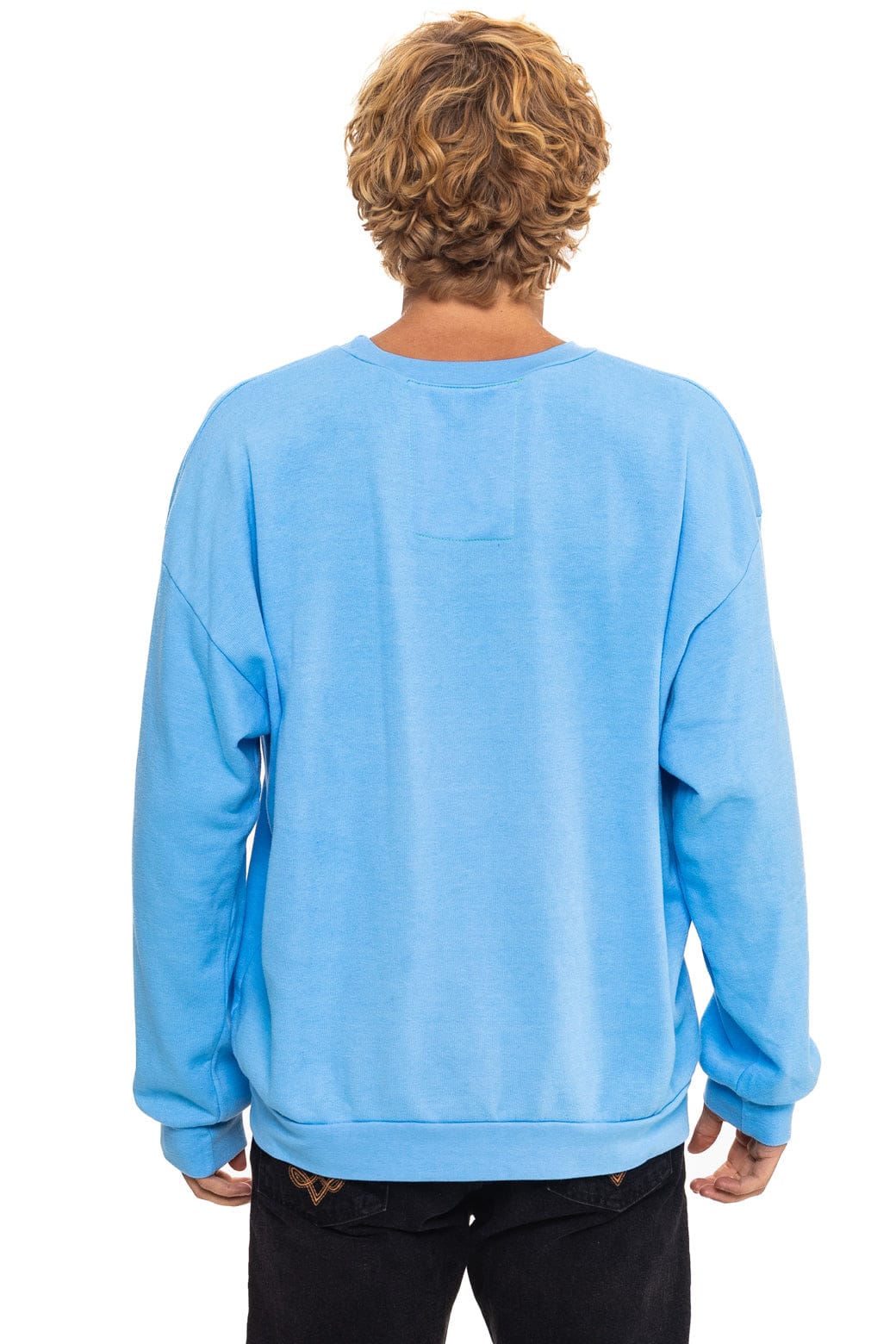 Retro ALL SEASONS CIRCLE RELAXED CREW SWEATSHIRT - SKY