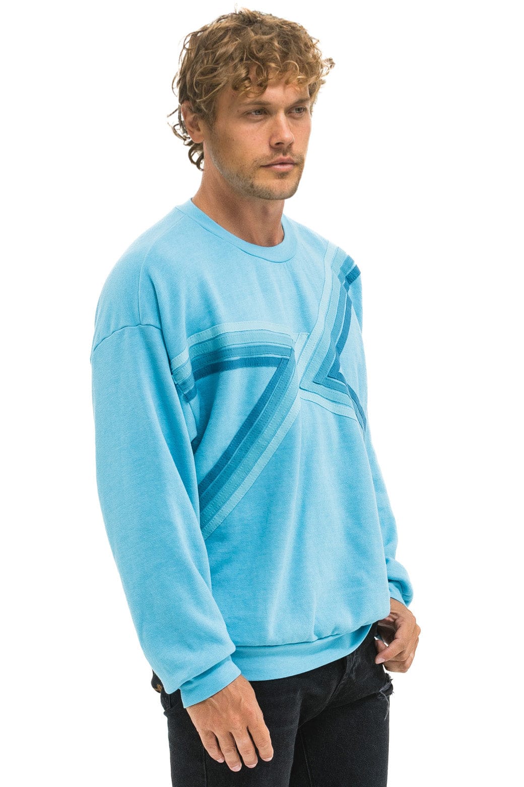 Retro BLAZE RELAXED CREW SWEATSHIRT - AQUA AQUA
