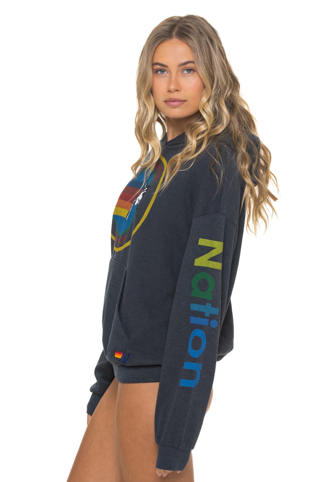 Retro AVIATOR NATION RELAXED VENICE PULLOVER HOODIE - CHARCOAL