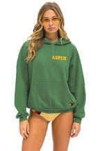 Retro UP IN THE SKY 2026 RELAXED PULLOVER HOODIE - PALM