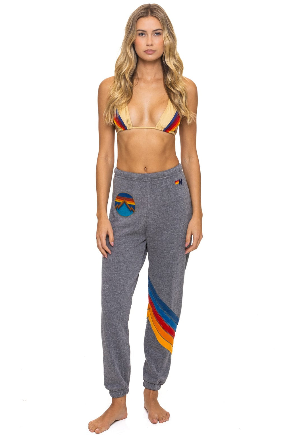 Retro ALL SEASONS CIRCLE CHEVRON SWEATPANTS - HEATHER