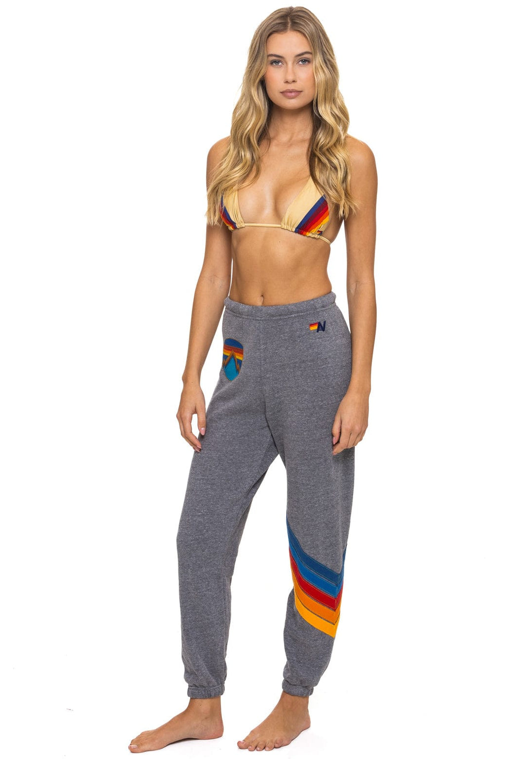 Retro ALL SEASONS CIRCLE CHEVRON SWEATPANTS - HEATHER