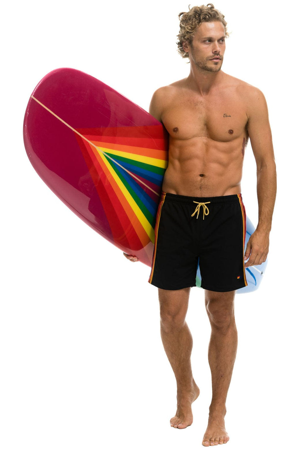 Retro AVIATOR NATION HYBRID BOARD - RAINBOW